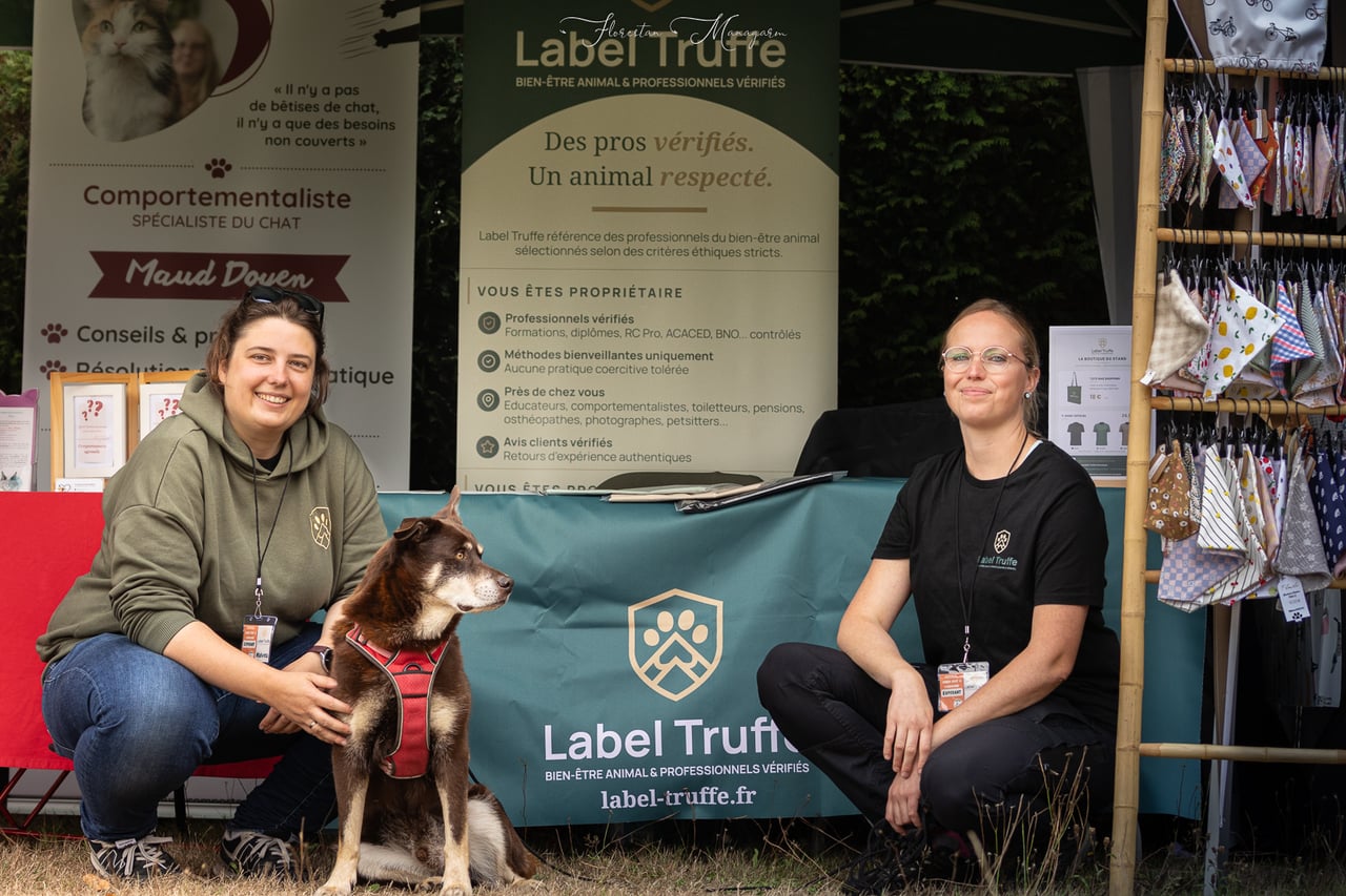 Notre premier salon : retour sur le Festival Chien, Chat & Compagnie à Vire Normandie